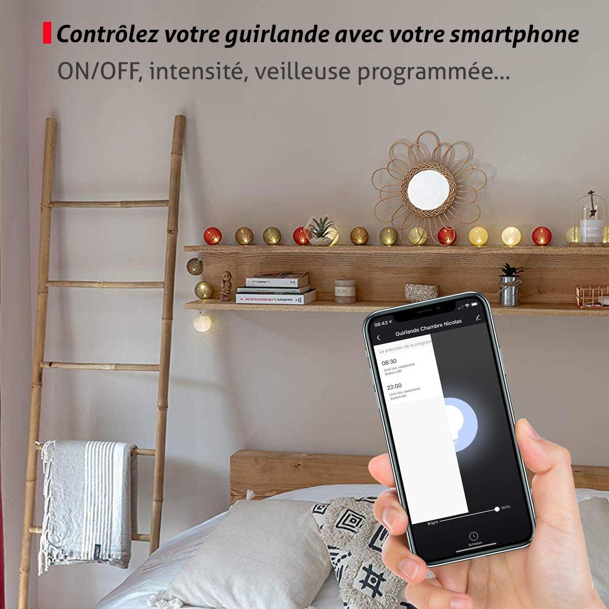 Flocon Commande Vocale Guirlande lumineuse boules coton Google & Alexa