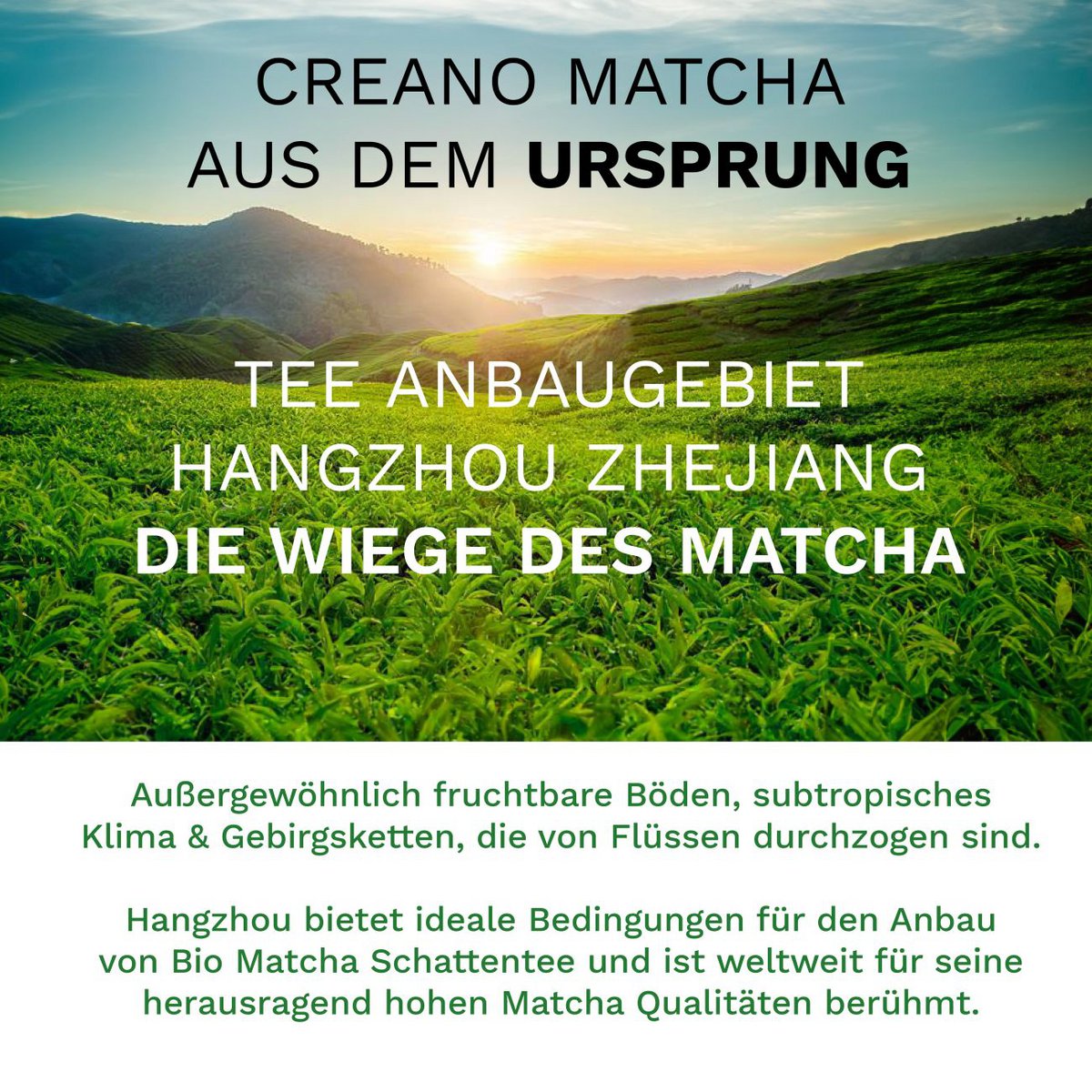 Creano Bio Matcha Tee 100g Premium