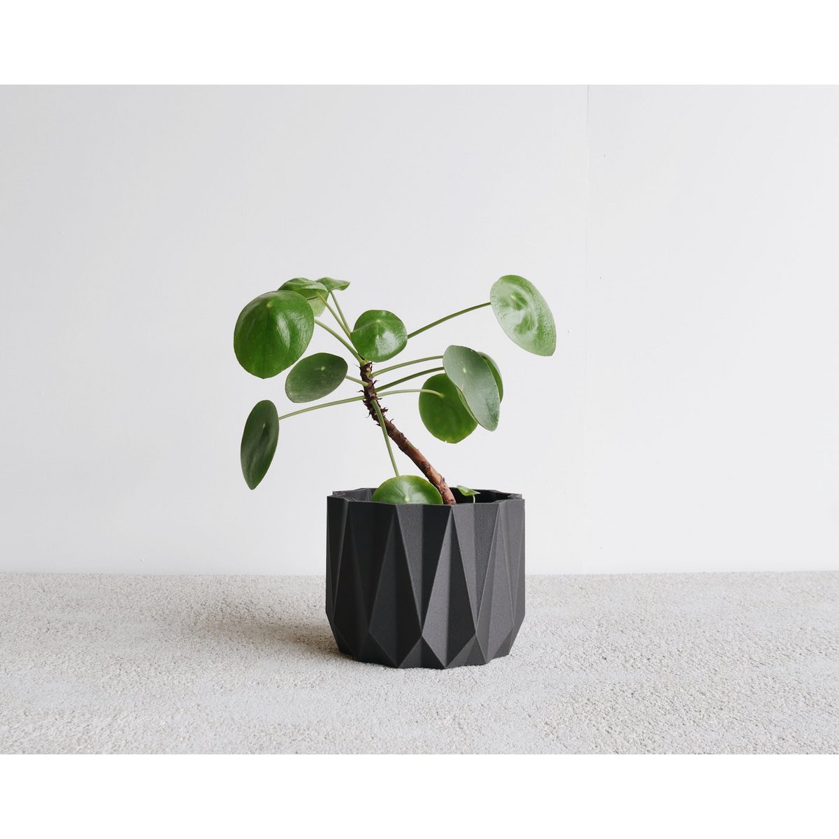 Black wood M - 8,5 cm inner diameter