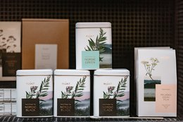 Nordic Black Tea - herbata w torebkach