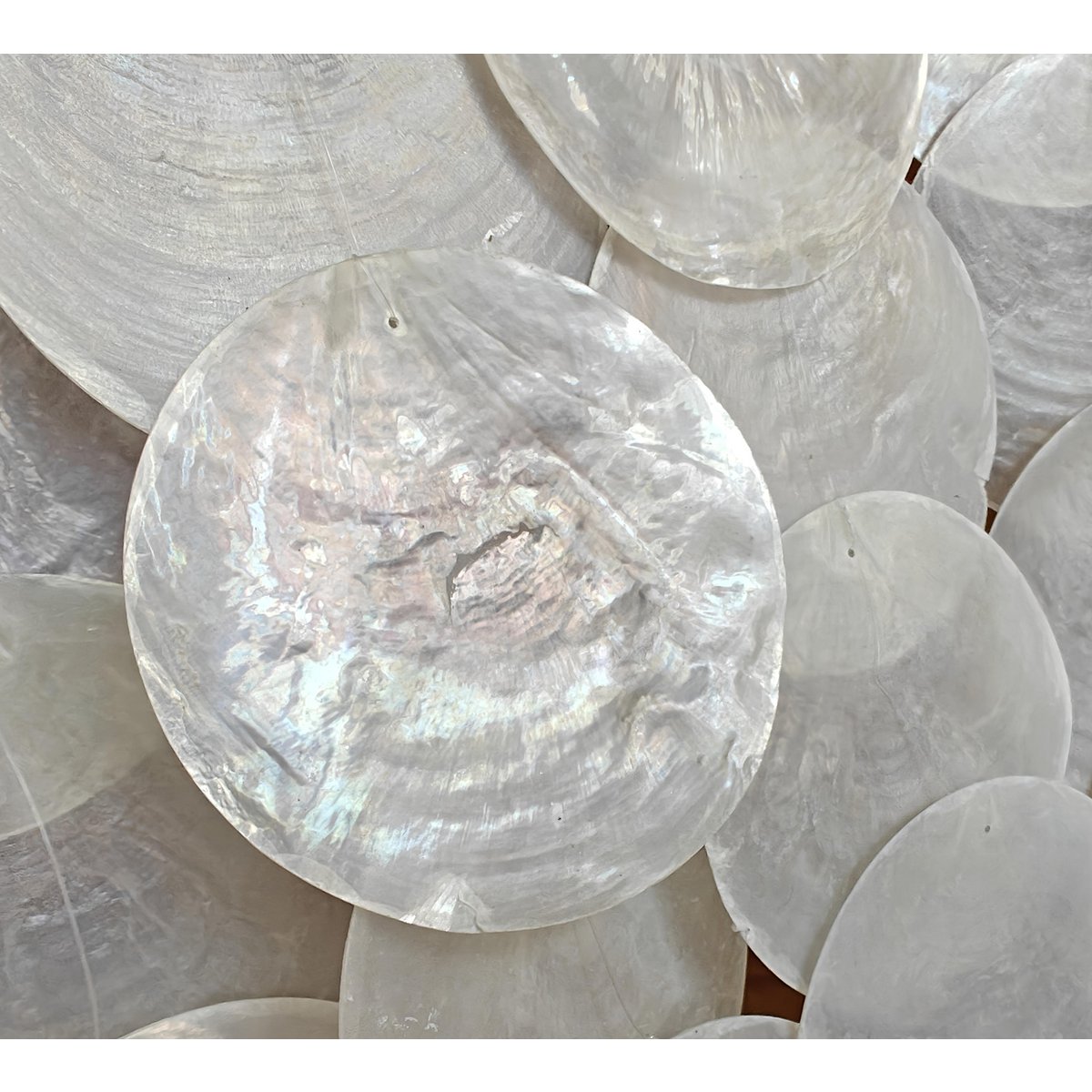Capiz shell pendant Large