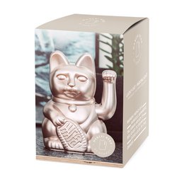 Gatto fortunato | chiaro di luna