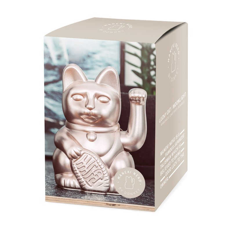 Gatto fortunato | chiaro di luna