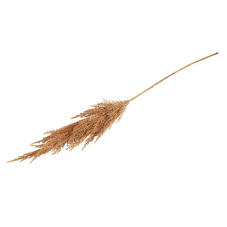 Kunstgras/pluim Cortaderia (Pampas)- L5B8H93CM