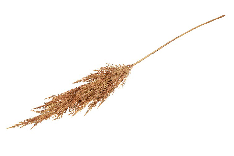 Kunstgras/pluim Cortaderia (Pampas)- L5B8H93CM
