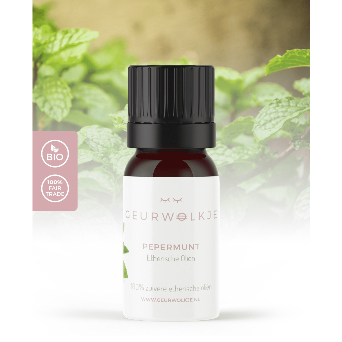 Peppermint - 100% essential oil - 10 ml - suggested retail price € 7.95