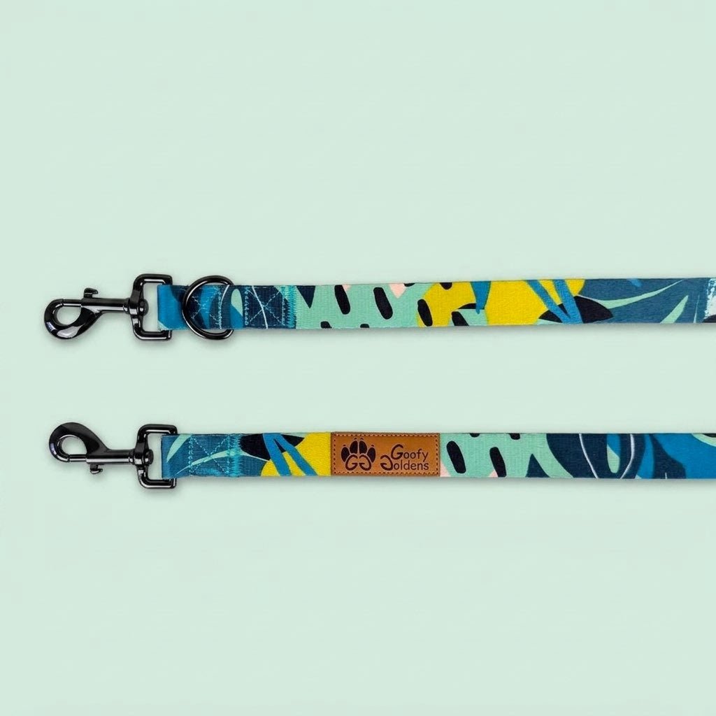 Multi-position reef leash
