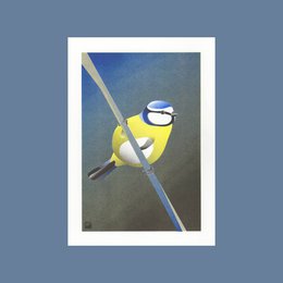  A vibrant, detailed print of a blue tit bird perched on a branch against a blue sky background. The print features the bird's distinctive blue, yellow, and white plumage, and captures the delicate details of its feathers and features.