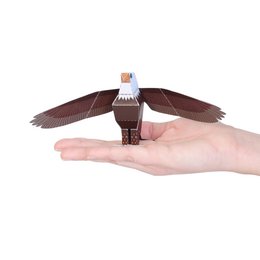 Bald eagle postcard featuring a detailed illustration of a majestic bald eagle with its wings spread. The postcard is suitable for sending as a gift or greeting.