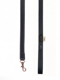 Sir Chuck Leash