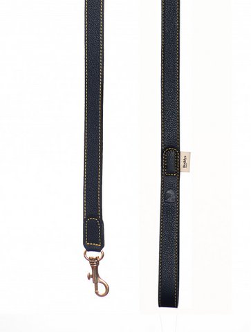 Sir Chuck Leash