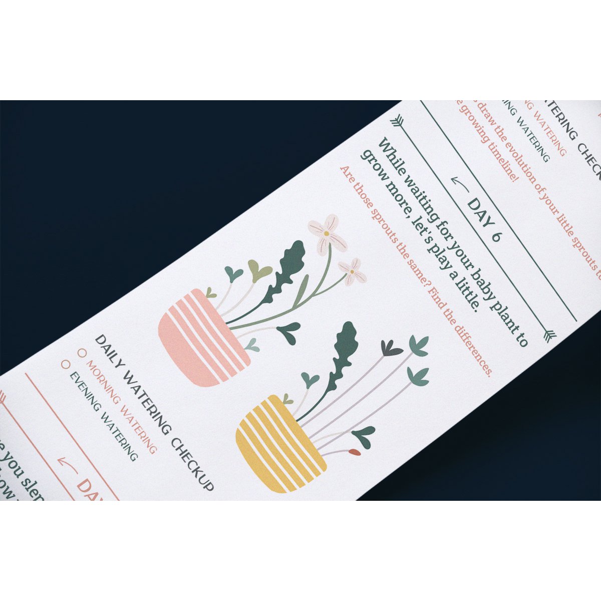 Originele activiteit en groeiende kit - Scrollino rucola spruiten