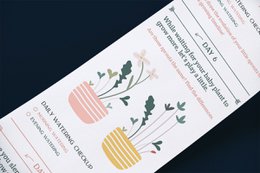 Originele activiteit en groeiende kit - Scrollino rucola spruiten