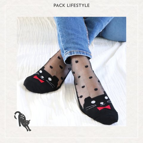 Discovery pack - Lifestyle