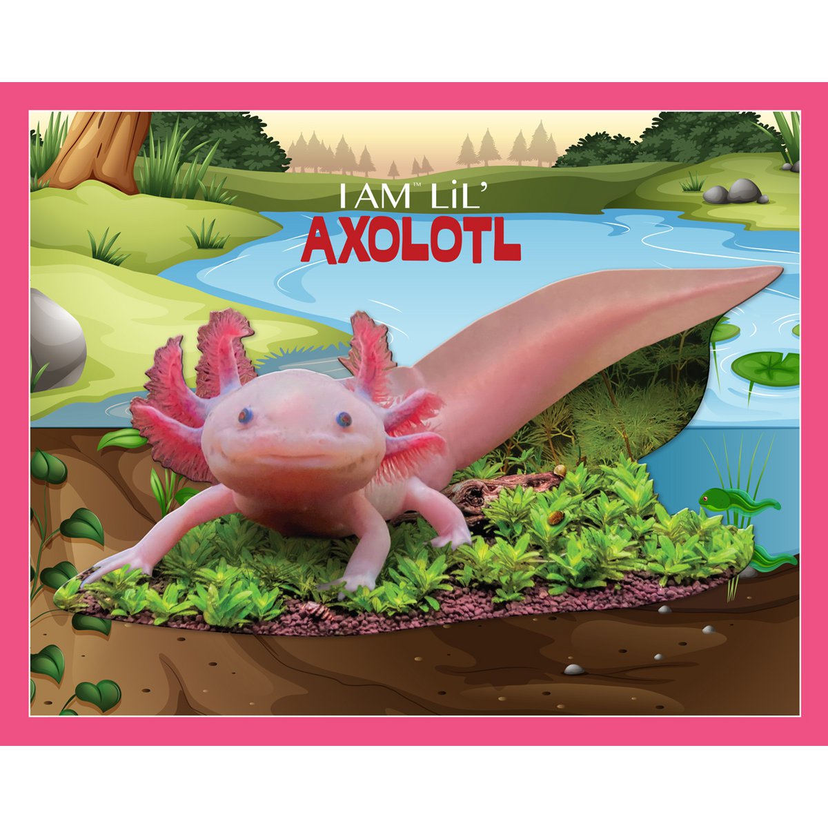 I Am Lil' - Axolotl