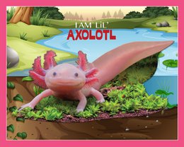 I Am Lil' - Axolotl