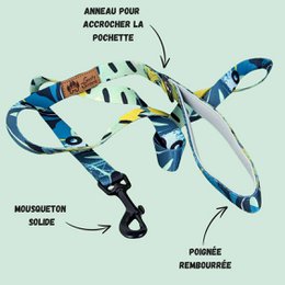 Reef dog leash