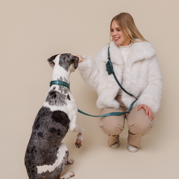 Forest green and teal striped dog leash, adjustable multifunction design, durable nylon material
