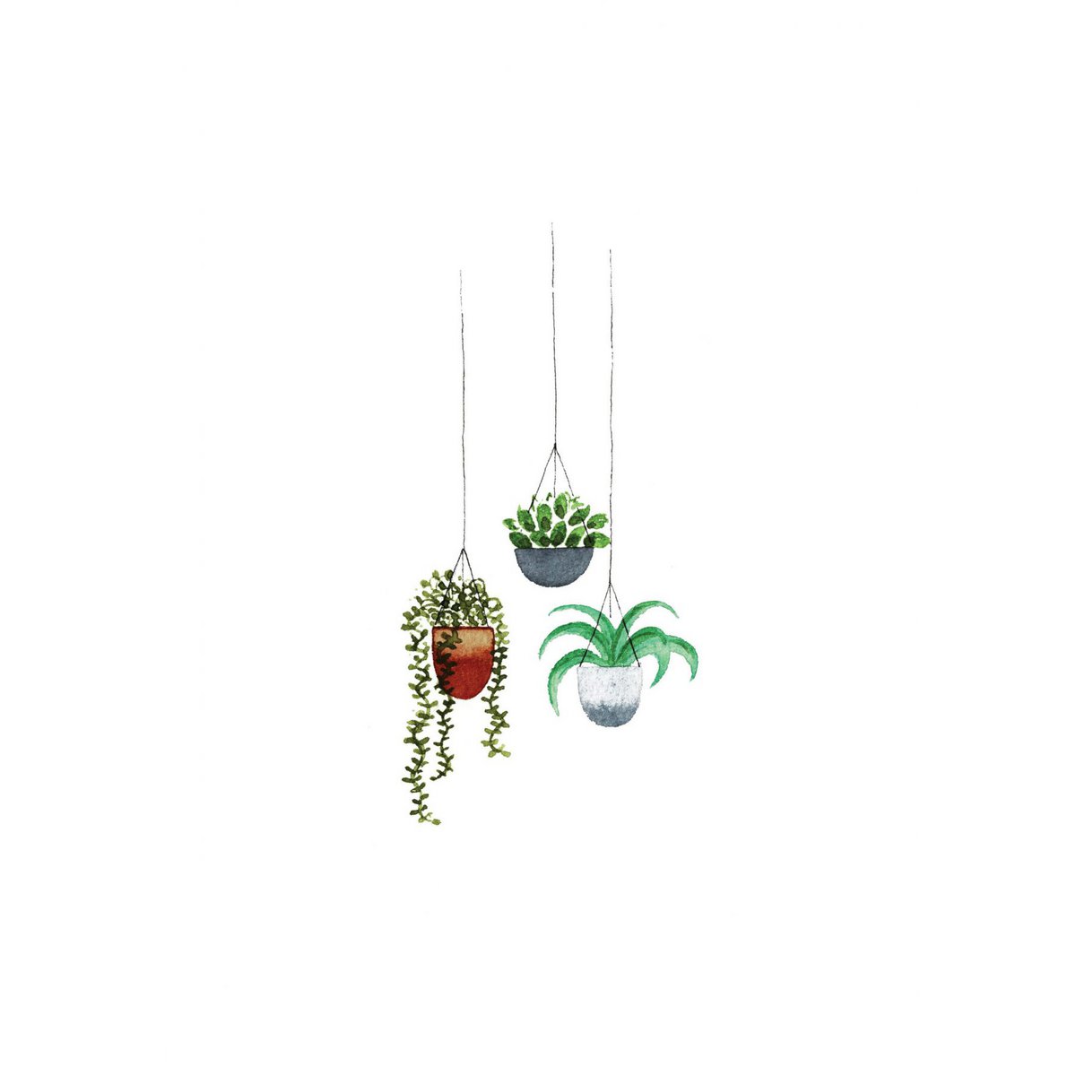 Hanging plants