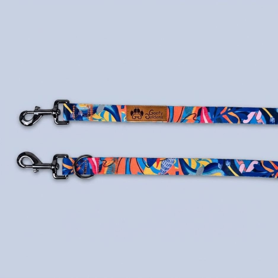 Laisse Lagon multiposition 250cm