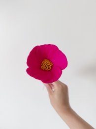 Viltbloem Cosmea Fucshia