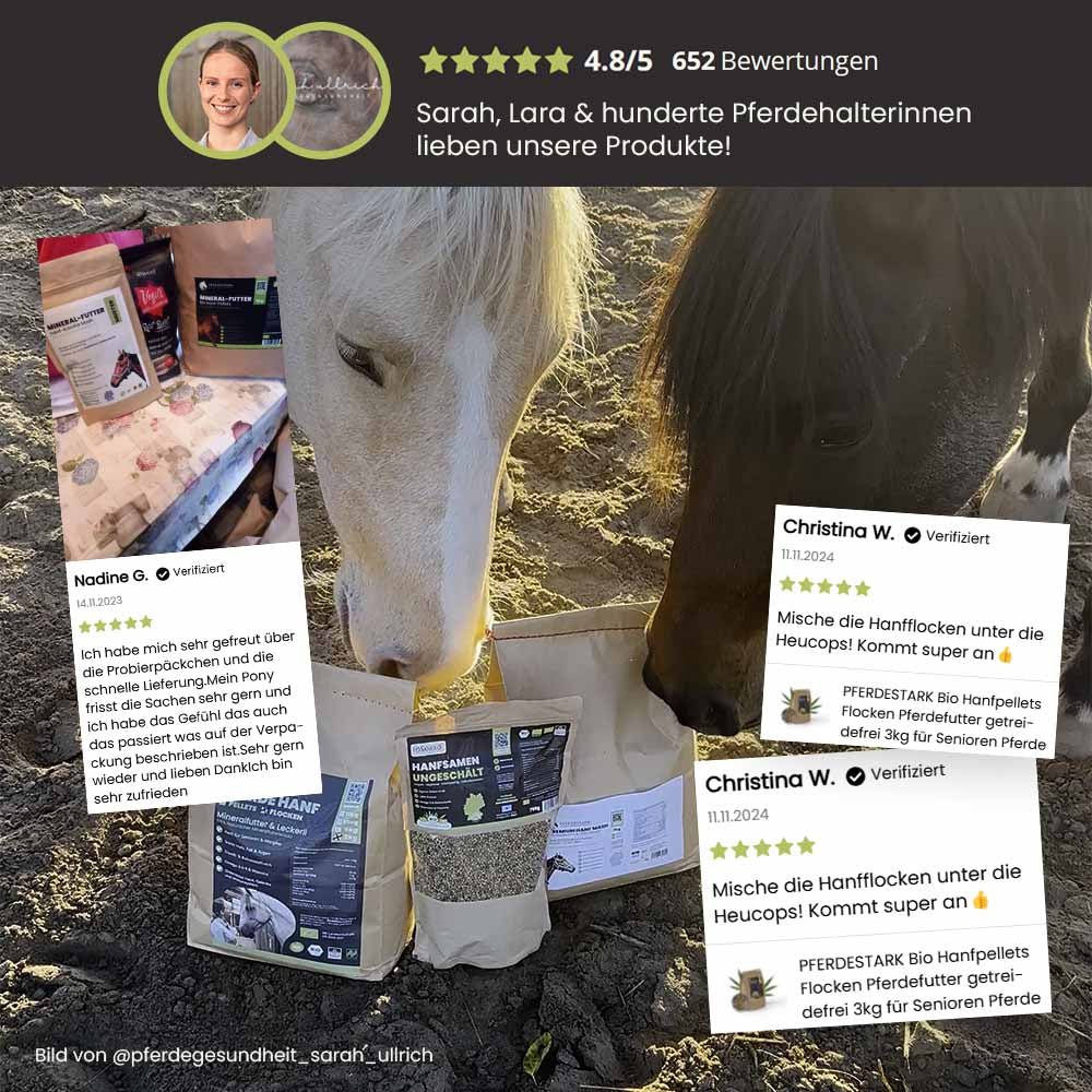 PFERDESTARK Premium organic hemp pellets for horses, horse feed, grain-free mineral feed, 5kg bag of hemp press cake