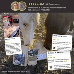 PFERDESTARK Premium organic hemp pellets for horses, horse feed, grain-free mineral feed, 5kg bag of hemp press cake