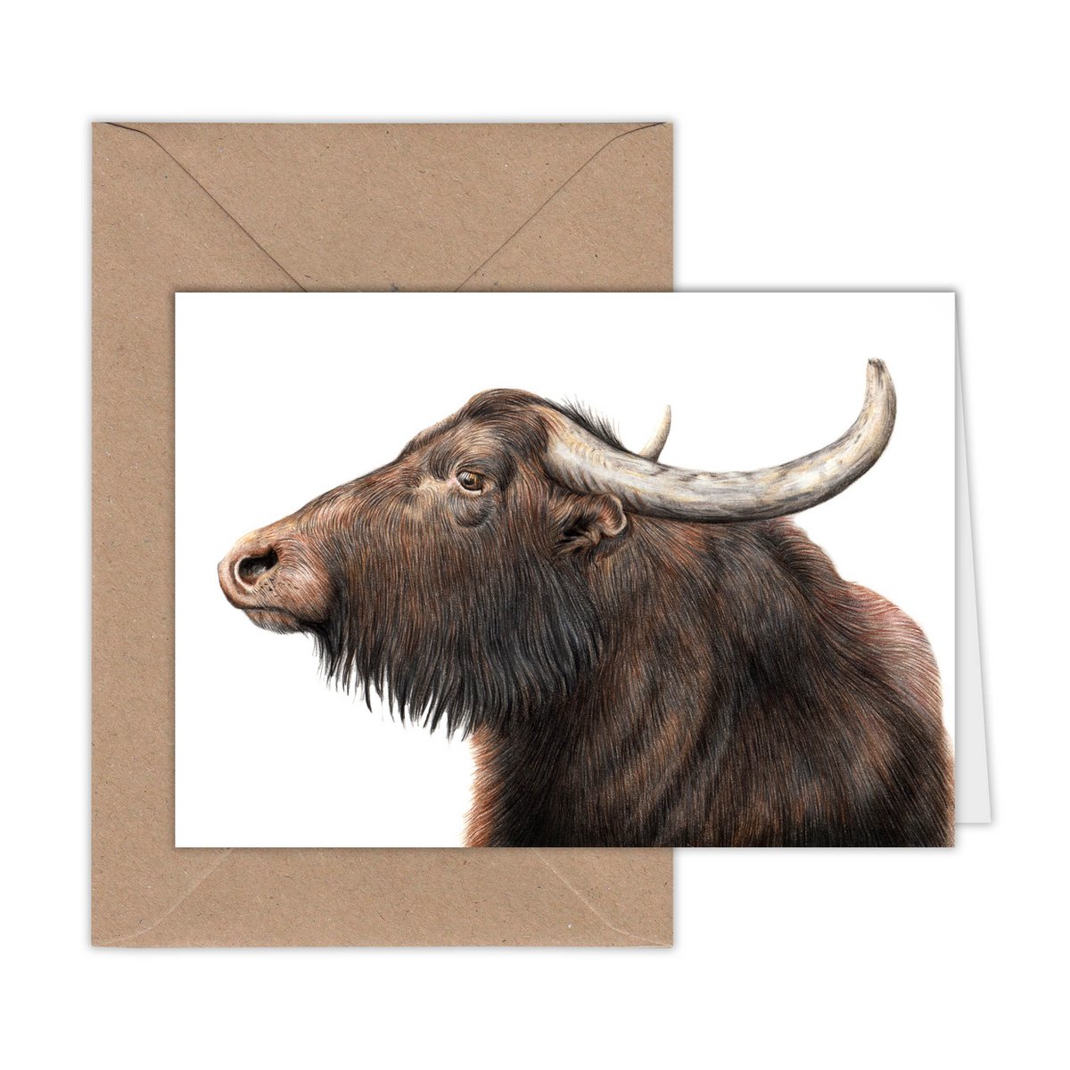 Water Buffalo Greeting Card, Animal Birthday Cards, Farm Cards