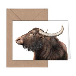 Water Buffalo Greeting Card, Animal Birthday Cards, Farm Cards