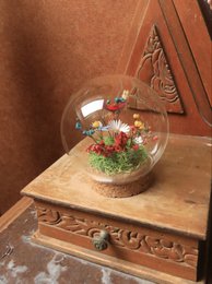Tørret blomsterklokke (haveboble (9 cm))