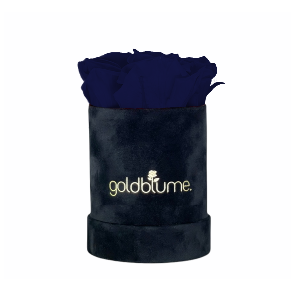 Velvet Black-collectie