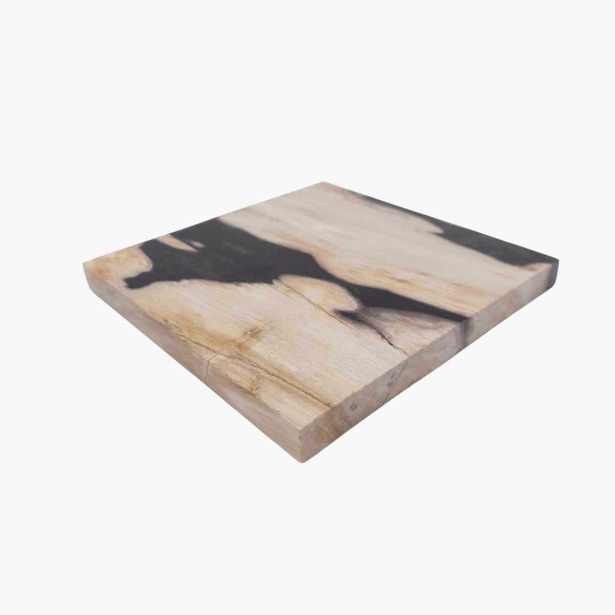 Tablett aus versteinertem Holz – 20 × 20 cm | Gemischte Auswahl