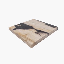 Tablett aus versteinertem Holz – 20 × 20 cm | Gemischte Auswahl