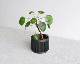 JAPAN Pflanzkübel aus Holz
