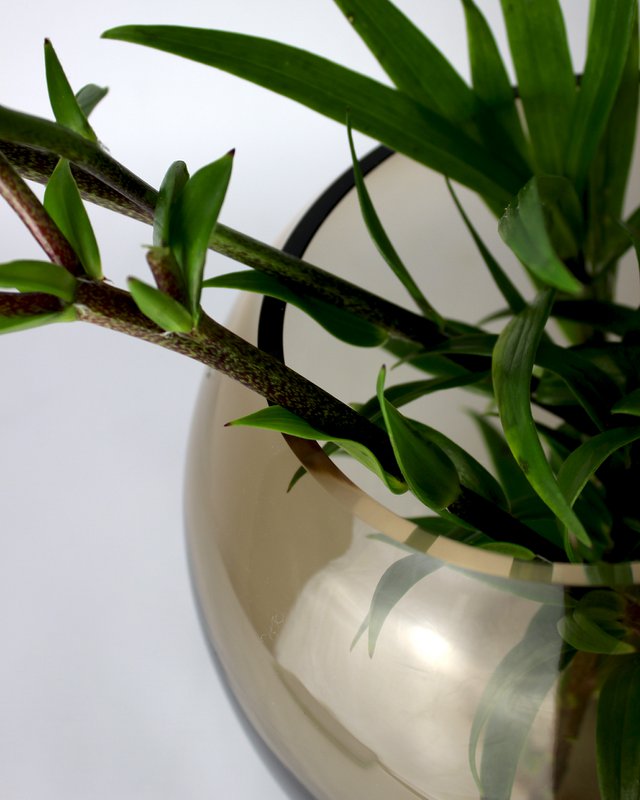 Vase glass round brown glass vase handmade ball vase low