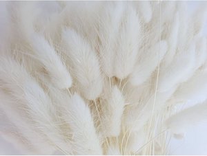 Lagurus Dalio white 100 g