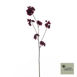 PRUNUS MALAGA SPRAY AUBERGINE 84CM