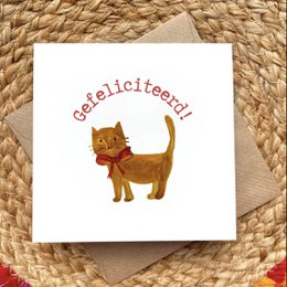 Congratulations card with a cute cat illustration and the text "Feliciteert!" which means "Congratulations!" in Dutch.