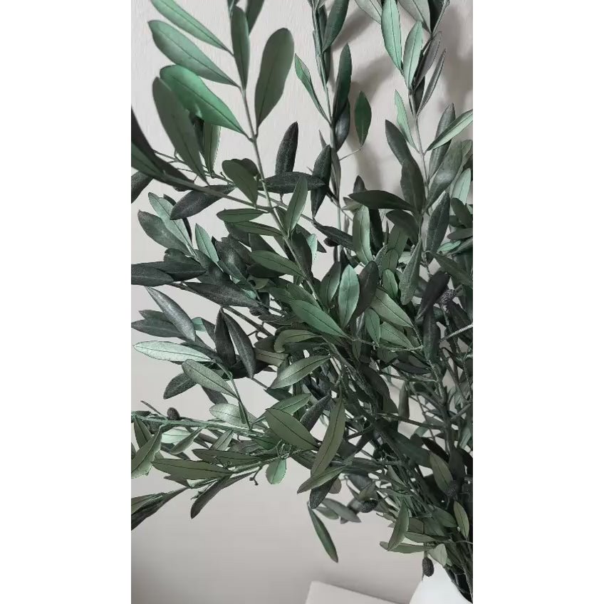 Preserved olive branches green from Italy