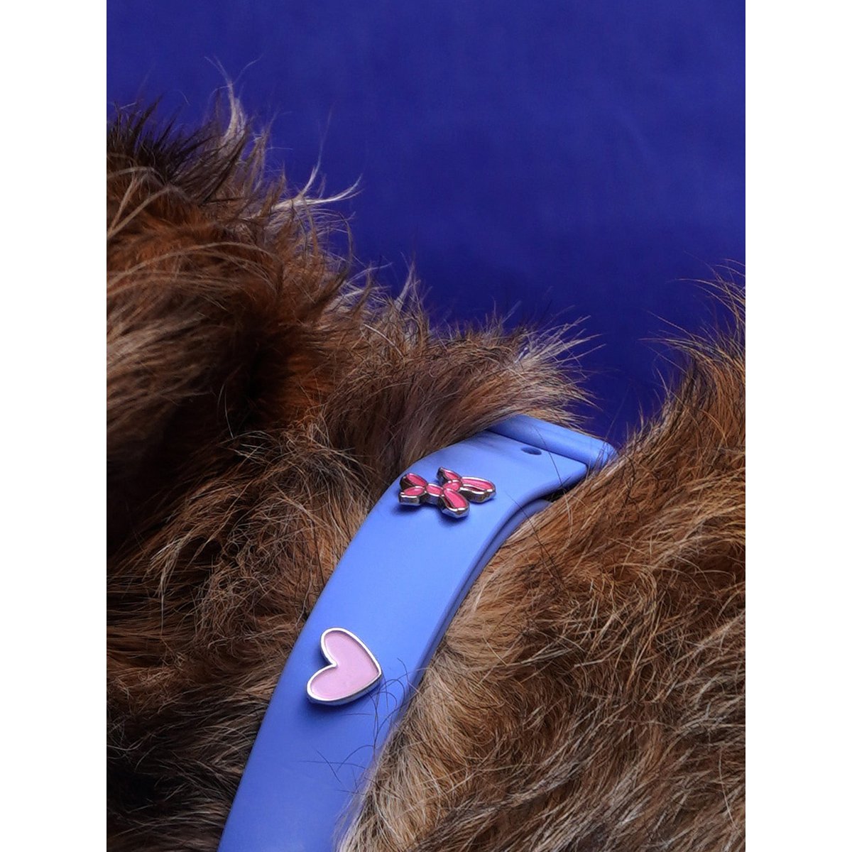 Ballon dog dog collar trailer