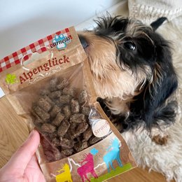 Hundesnack fjer let 60g x 15