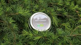 ABIES LAGRIMUS