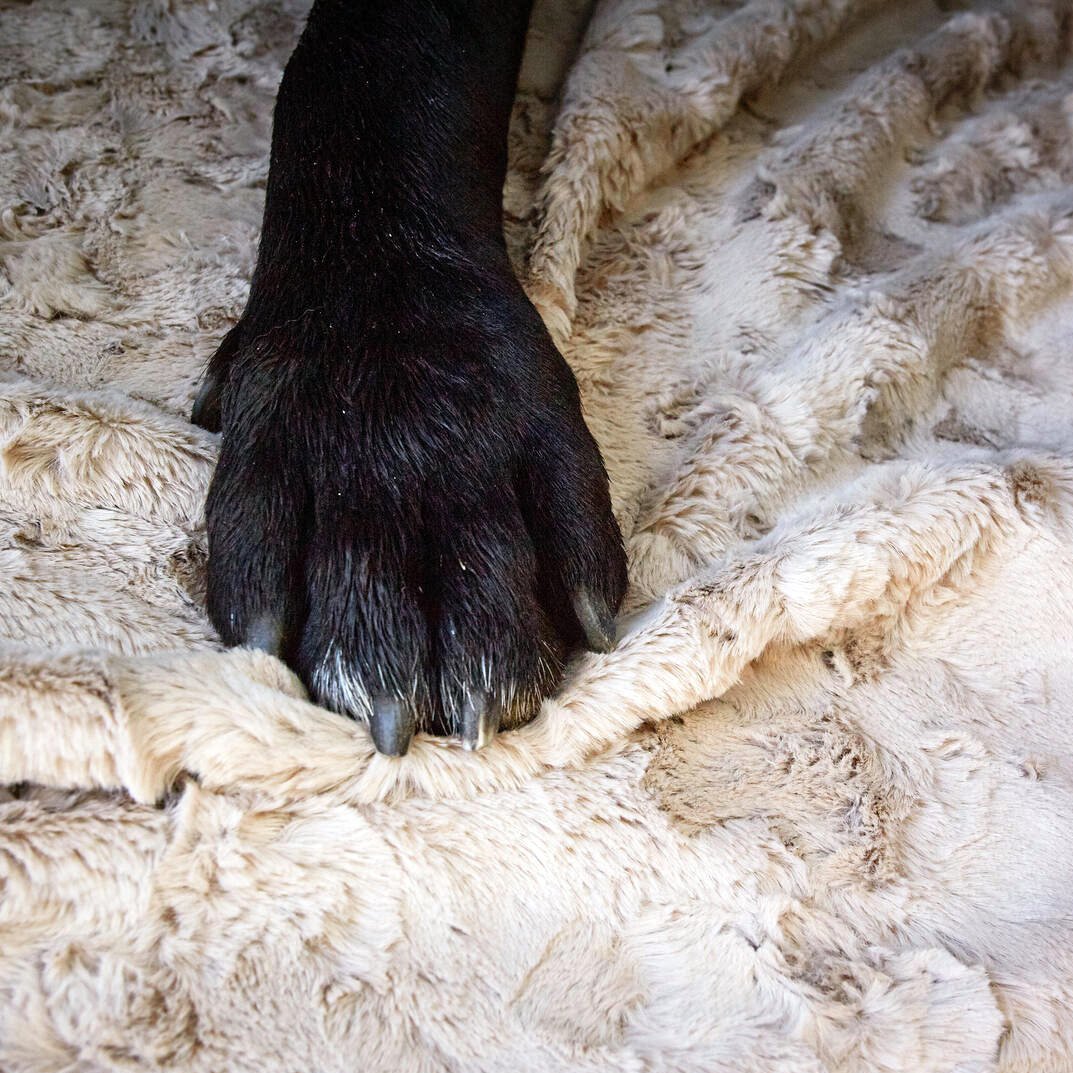 COZY Kuscheldecke für Hunde