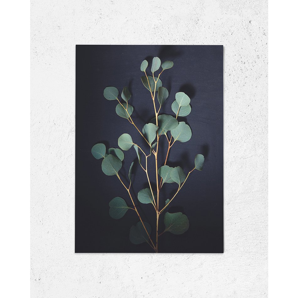 Ansichtkaart Donker Eucalyptus (PK_063)