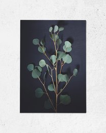 Dark green eucalyptus leaves on a black background, minimalist Christmas card design.