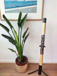 Didgeridoo bamboo 120cm - Painted - including nylon carrying bag - Multicolor