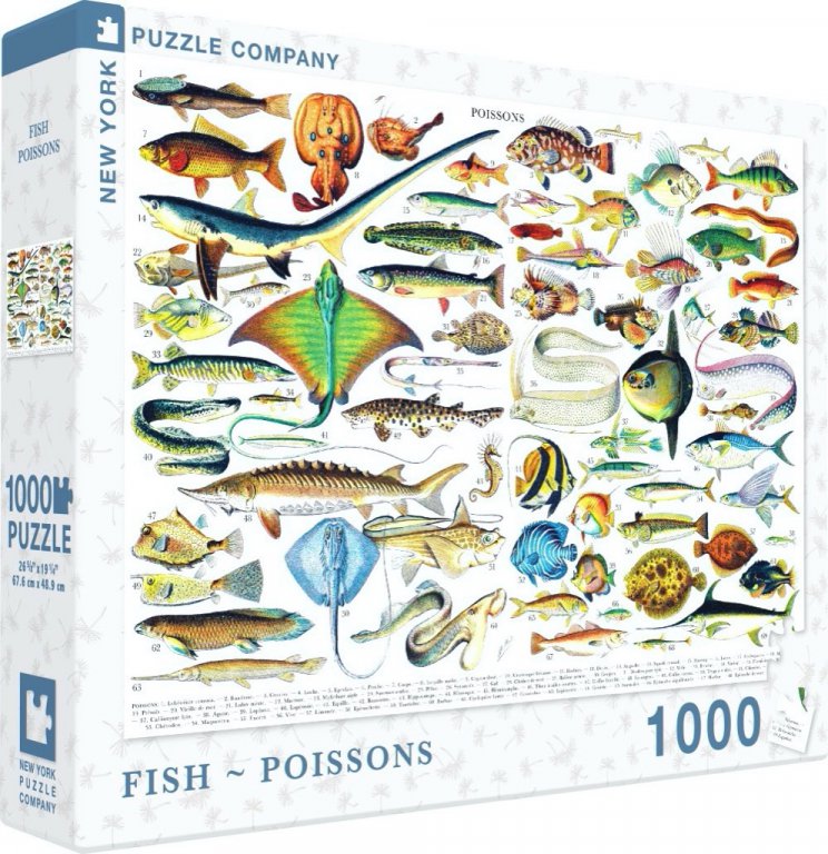 New York Puzzle Company Puzzle Fish ~ Poissons - 1000 pieces