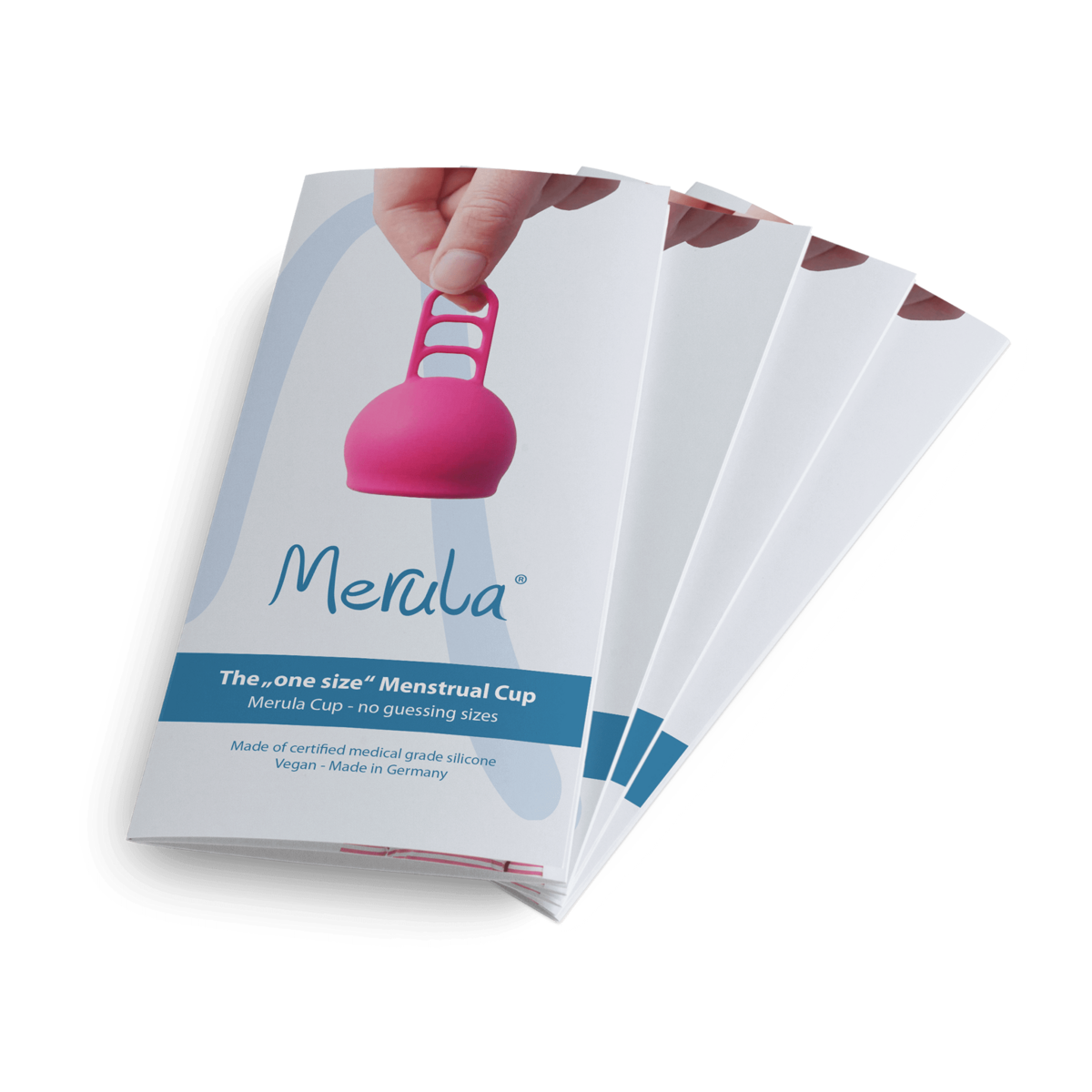 Merula flyer