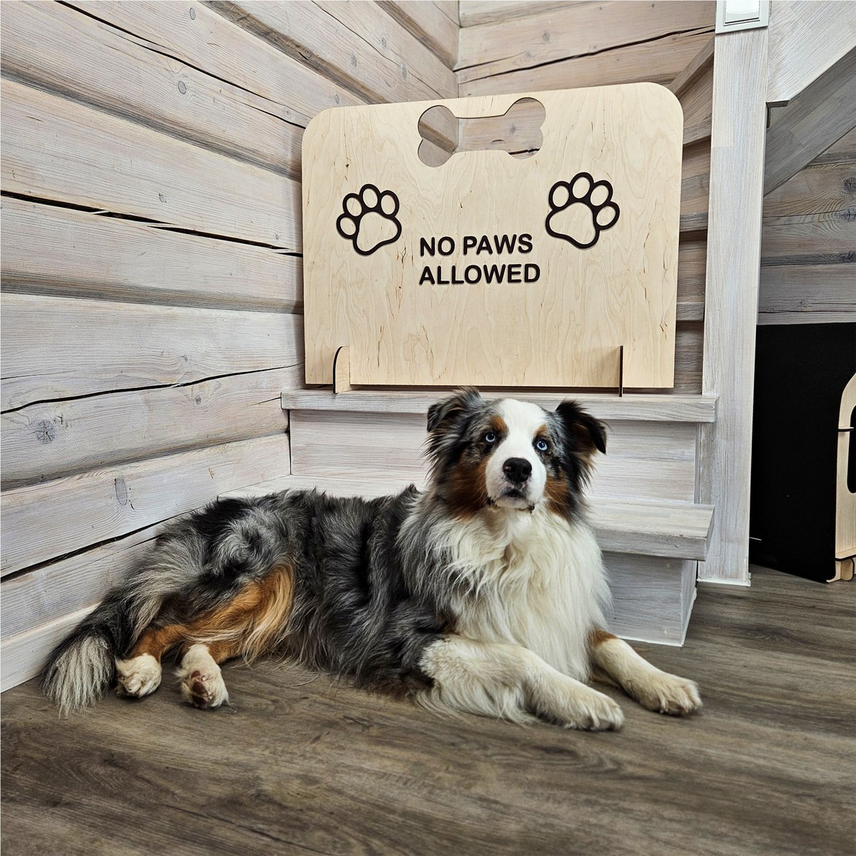 Puerta de barrera de perros, puerta de seguridad de mascotas de madera portátil (no se requiere perforación)