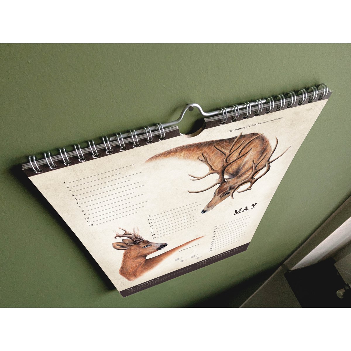 Hirsch-Geburtstagskalender, ewiger Kalender, umweltfreundlich